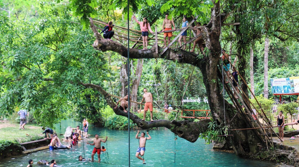 A nice small tree jump in Vang Vieng next to the Tham Phu Kham Cave