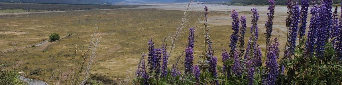 As you come out the West Coast side of Arthur's Pass the view of the mountains is spectacular. #LifeAtExpedia