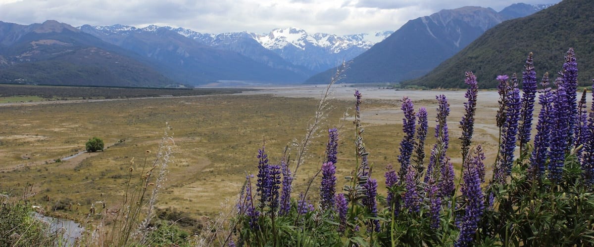As you come out the West Coast side of Arthur's Pass the view of the mountains is spectacular. #LifeAtExpedia