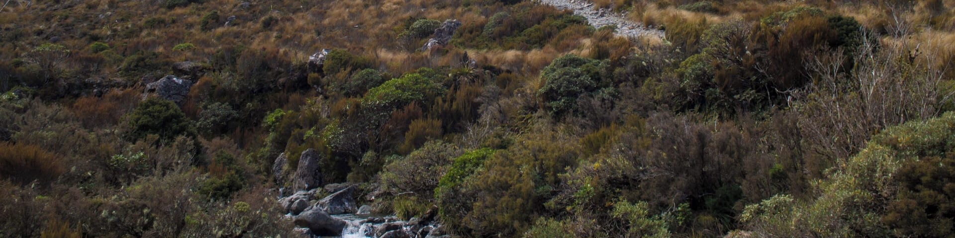 Arthur's Pass is one of the few roads connecting the East and West sides of New Zealand's South Island. The road winds it way through a mountain pass with beautiful and dramatic scenery. The area is great for outdoor activities such as hiking, or spotting waterfalls and the Kea (=alpine parrots).