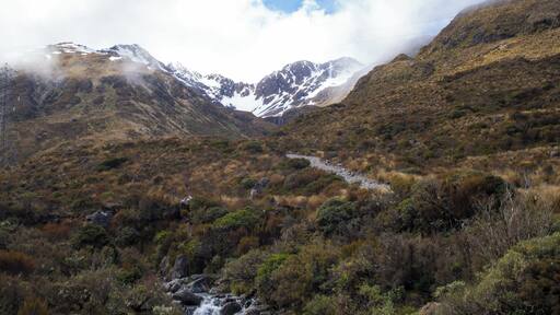 Arthur's Pass is one of the few roads connecting the East and West sides of New Zealand's South Island. The road winds it way through a mountain pass with beautiful and dramatic scenery. The area is great for outdoor activities such as hiking, or spotting waterfalls and the Kea (=alpine parrots).