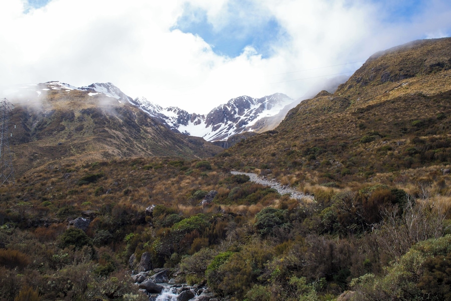 Arthur's Pass is one of the few roads connecting the East and West sides of New Zealand's South Island. The road winds it way through a mountain pass with beautiful and dramatic scenery. The area is great for outdoor activities such as hiking, or spotting waterfalls and the Kea (=alpine parrots).