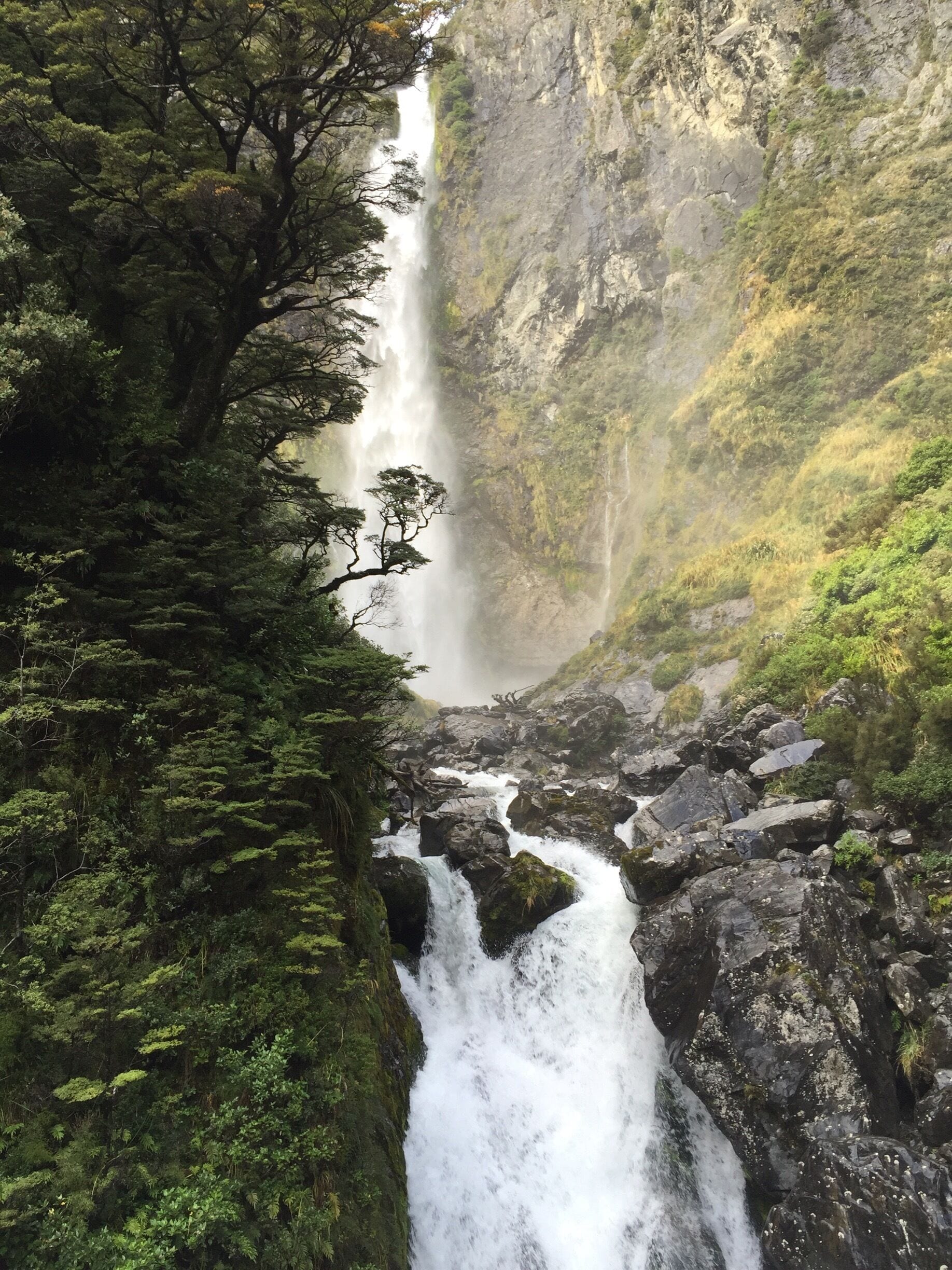 Una cascada se precipita por un acantilado rocoso rodeado de exuberante follaje verde.