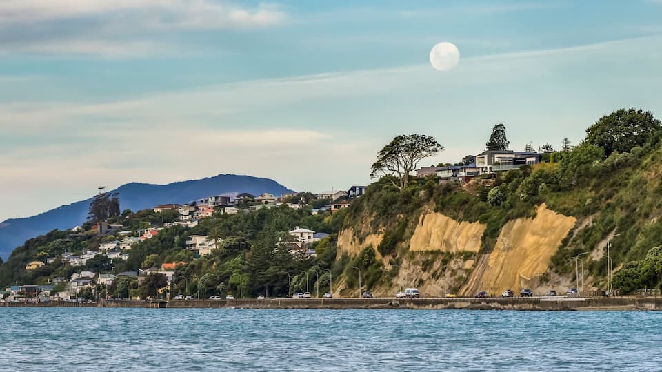 Houses on the side of the cliffs in Nelson, along the shoreline of Tasman Bay near Tahunanui Beach; Nelson Province, South Island, New Zealand