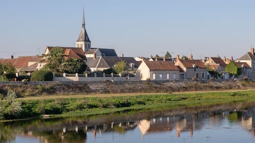 Berge du Cher à Selle-sur-Cher (Loir-et-Cher)