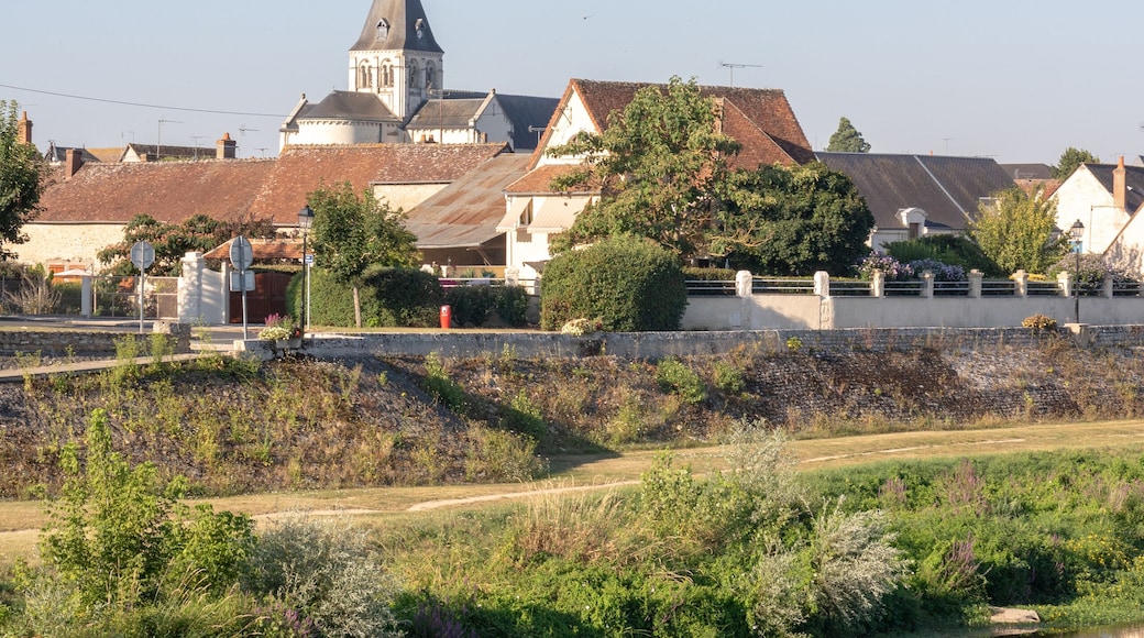 Berge du Cher à Selle-sur-Cher (Loir-et-Cher)