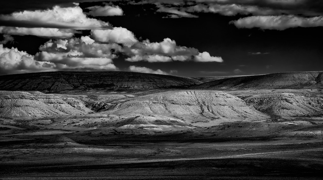 The Red Desert of Wyoming