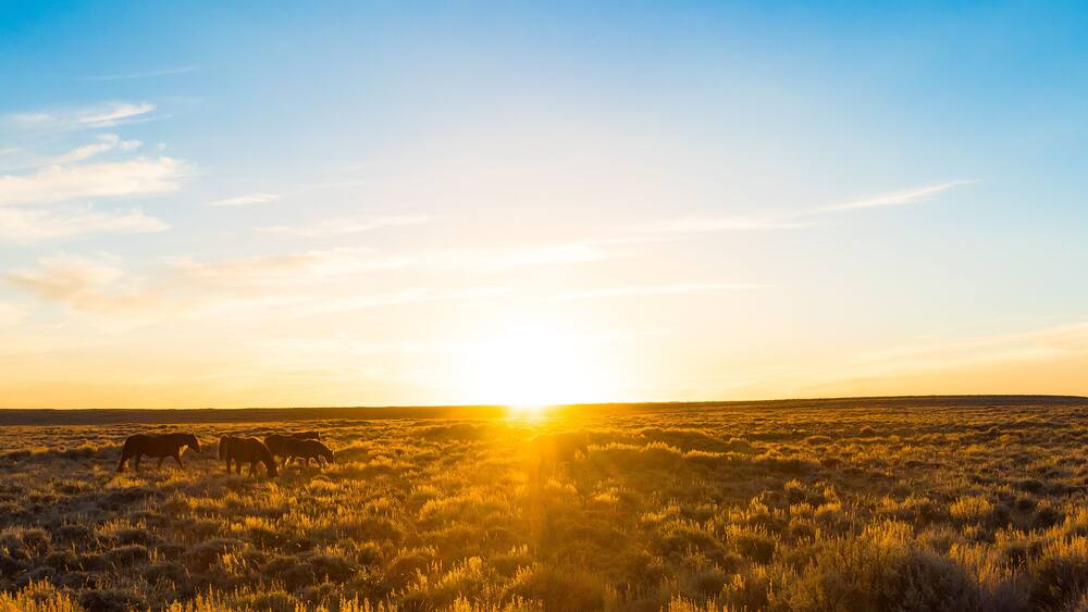 Wild Horse Scenic Loop, Wyoming