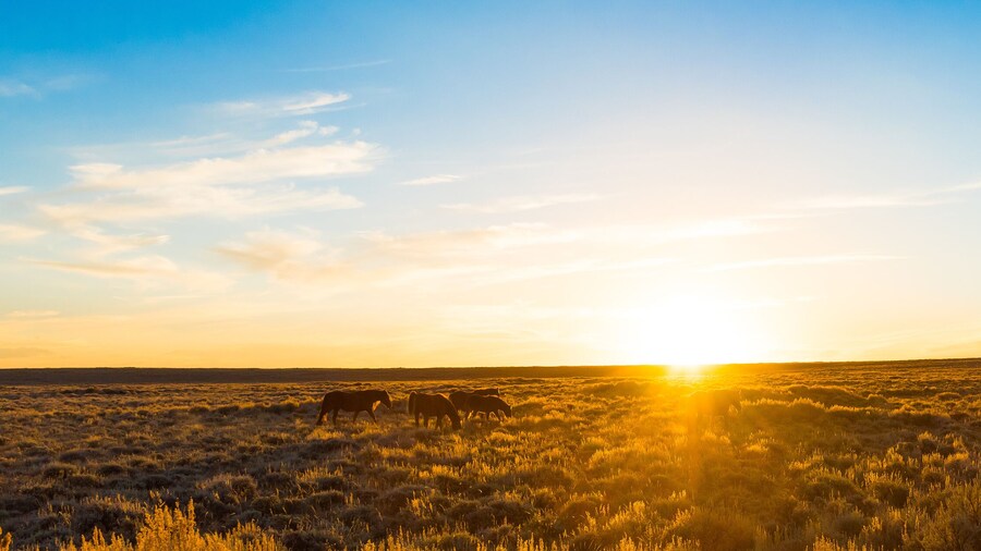 Wild Horse Scenic Loop, Wyoming