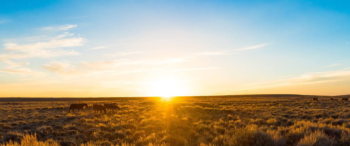 Wild Horse Scenic Loop, Wyoming