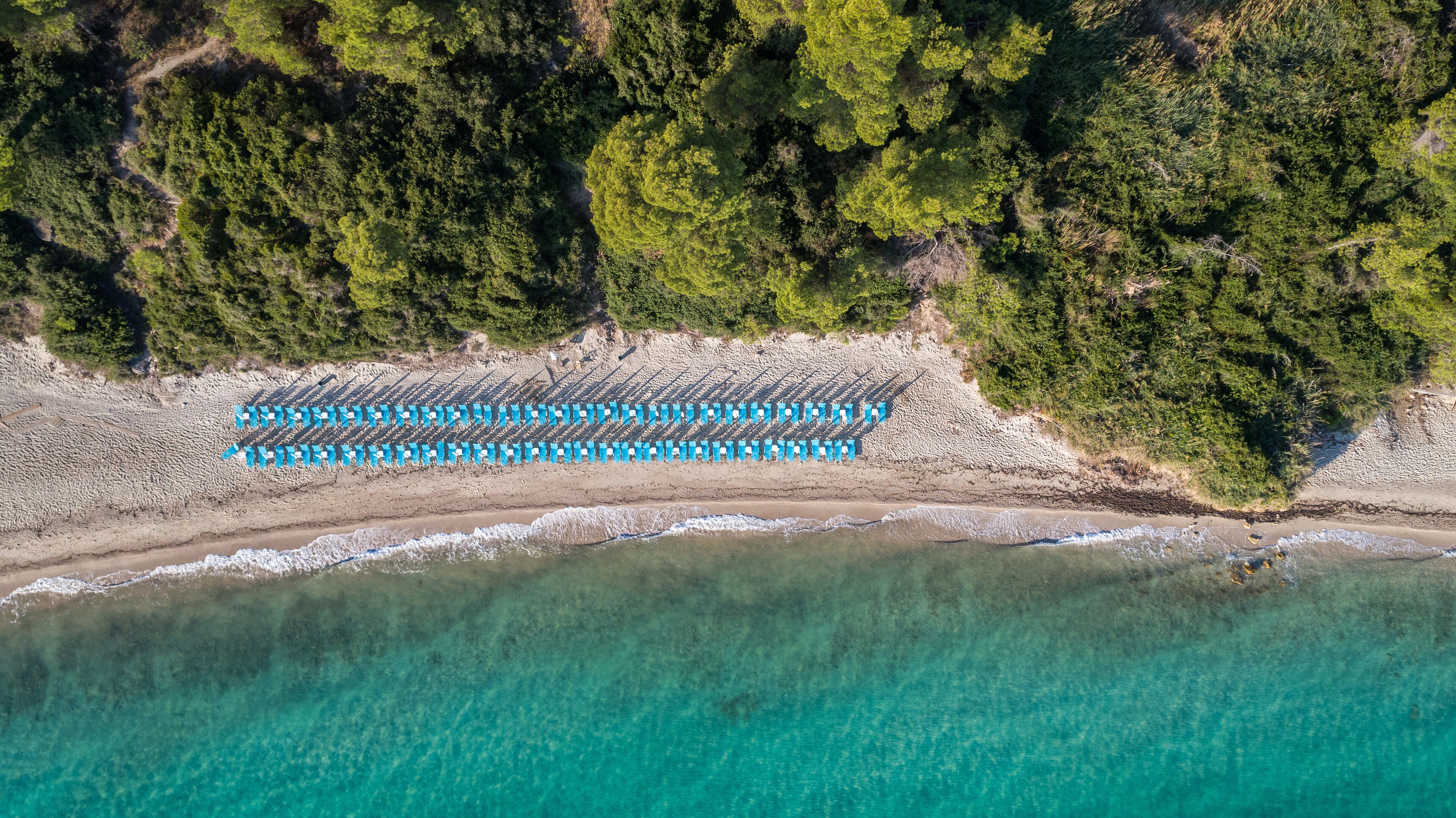 An aerial view of a beach with rows of blue umbrellas and white lounge chairs.