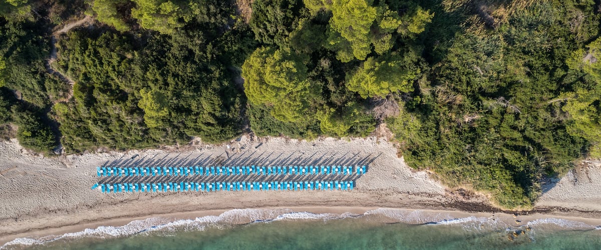An aerial view of a beach with rows of blue umbrellas and white lounge chairs.
