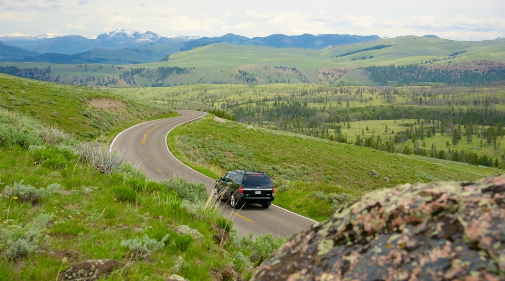 Yellowstone-Nationalpark