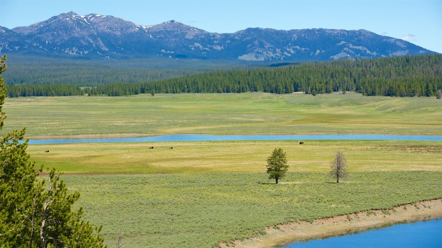 Northwest Wyoming which includes a river or creek and tranquil scenes