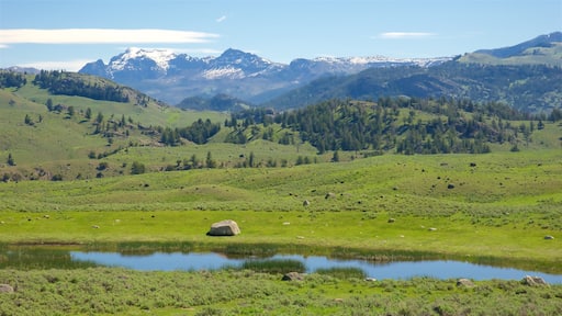 Nordvestlige Wyoming og byder på udsigt over landskaber, en flod eller et vandløb og fredfyldte omgivelser