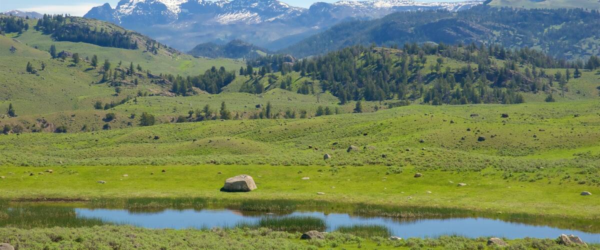 A green valley with a small pond and a mountain range in the background.