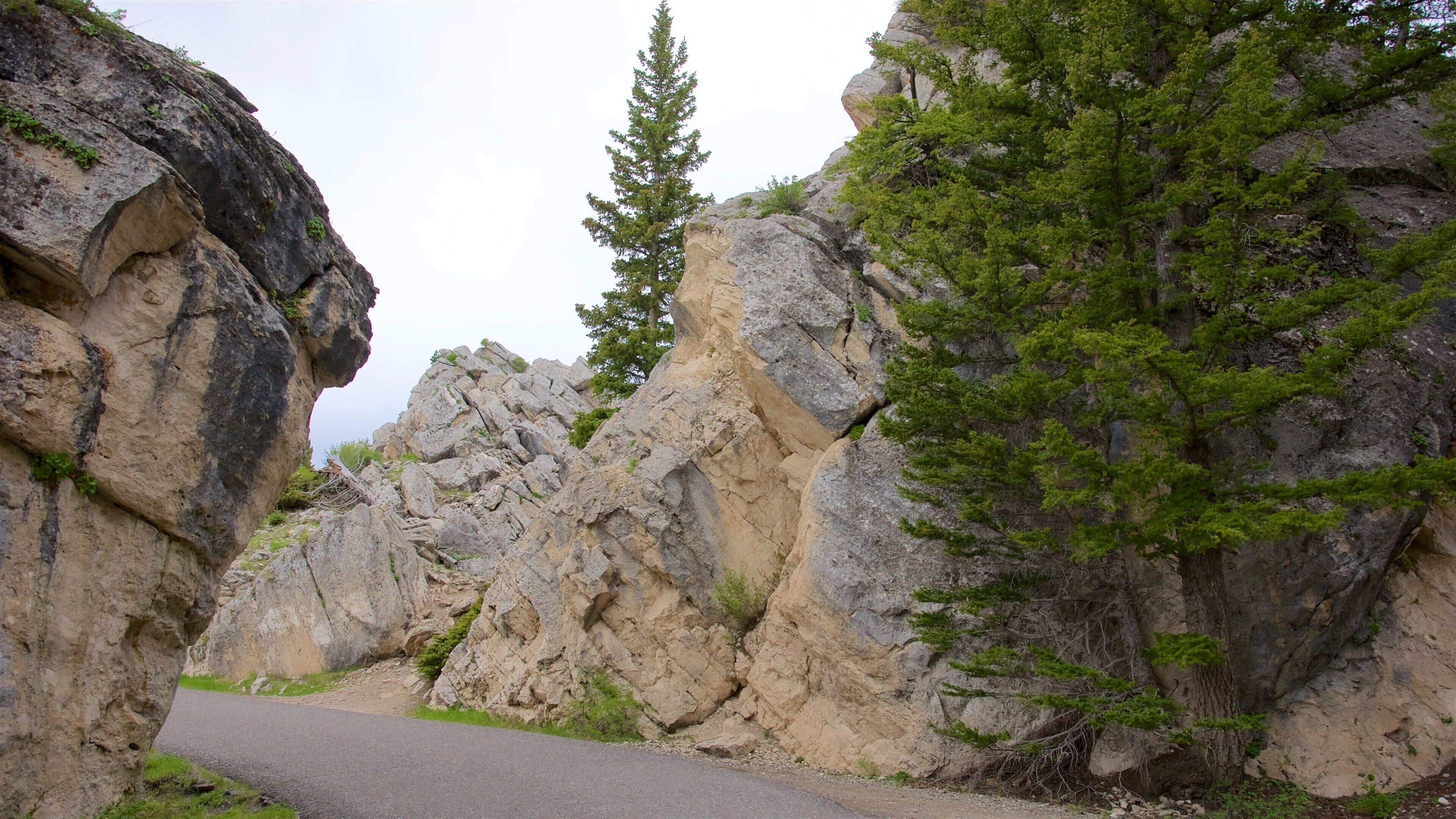Parque Nacional de Yellowstone