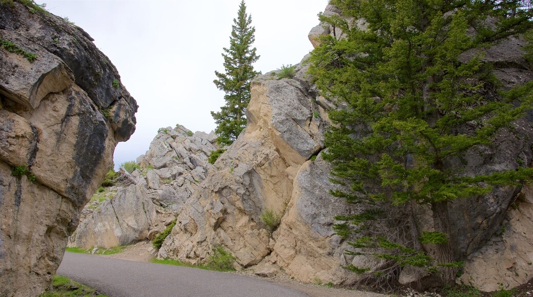Parque Nacional de Yellowstone