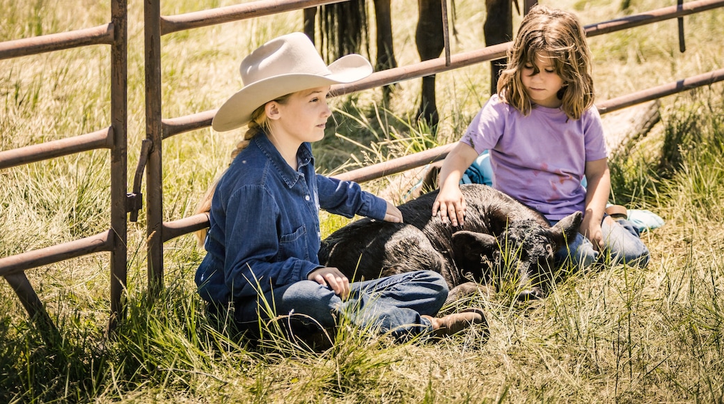Two western girls sitting in the grass. Cody, Wyoming, USA