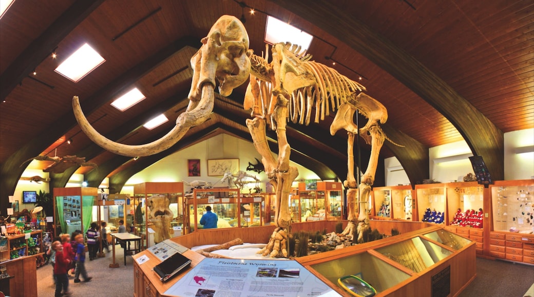 Casper which includes interior views