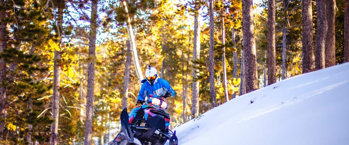 Casper which includes forests, snow and snow boarding