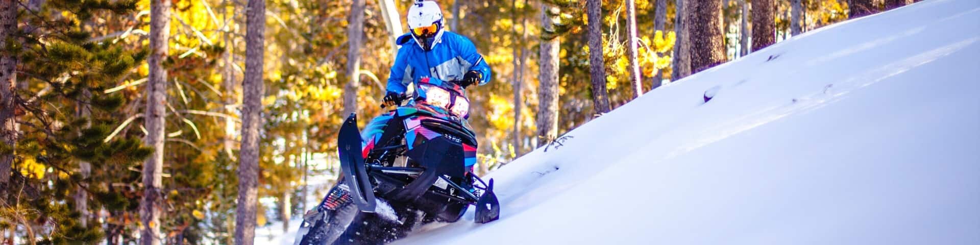 A person riding a snowmobile on a snowy slope surrounded by trees.