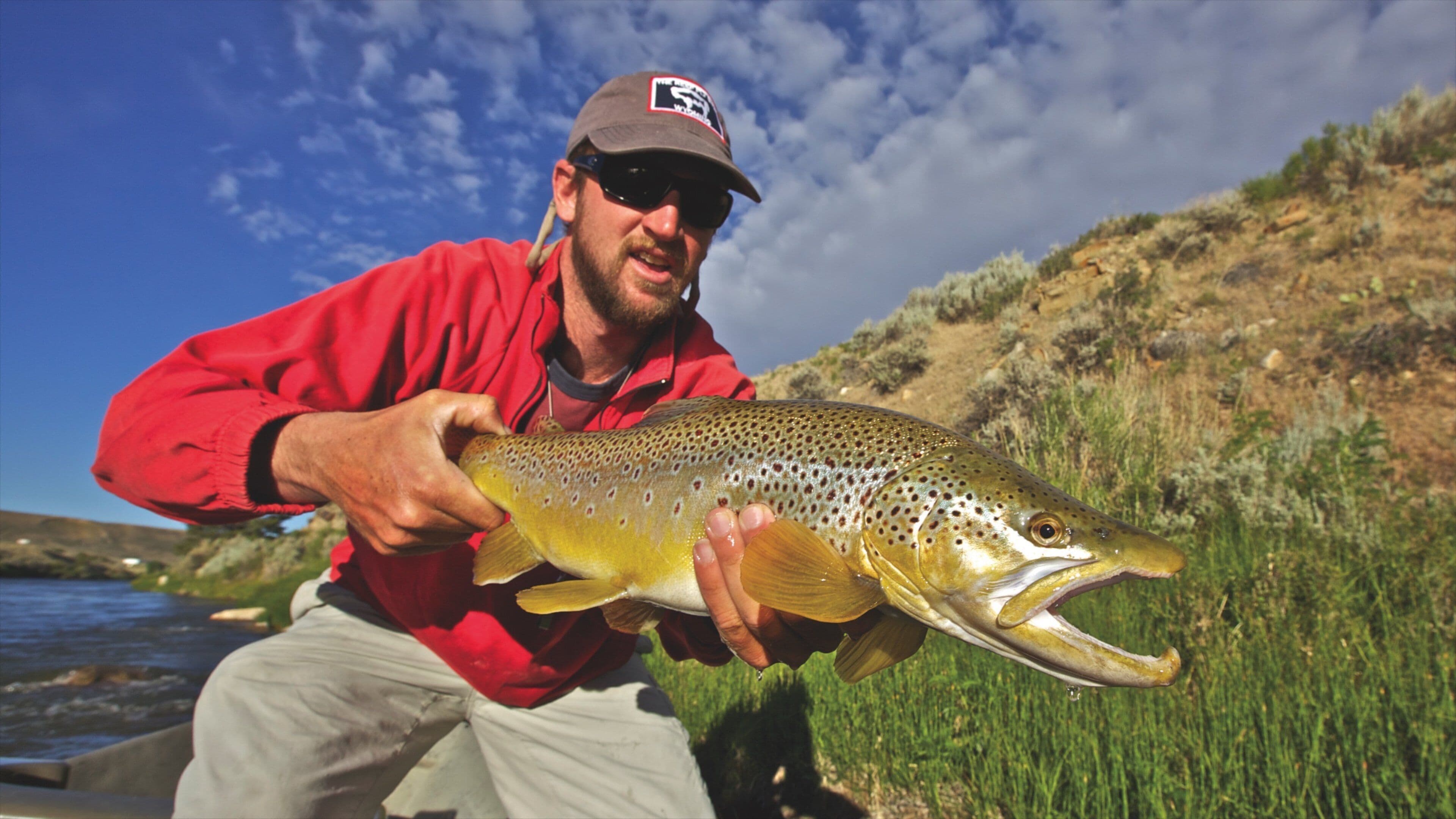 Casper which includes marine life as well as an individual male
