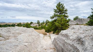 Oregon Trail Ruts State Historic Site in Guernsey, Wyoming
