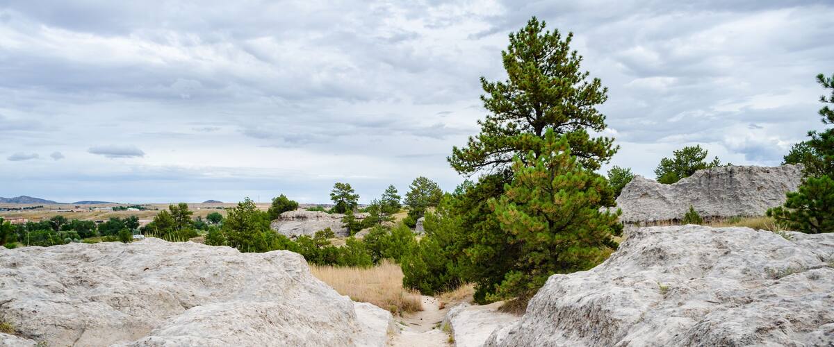A rocky path with pine trees, surrounded by a hilly landscape.