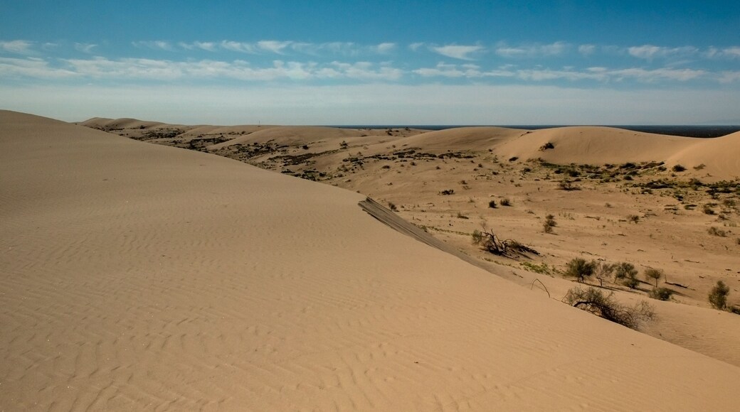 Overview of the desert Imperial Sand dunes displaying some vegetation and lots of sand against a blue, cloudless sky, Imperial Sand Dunes