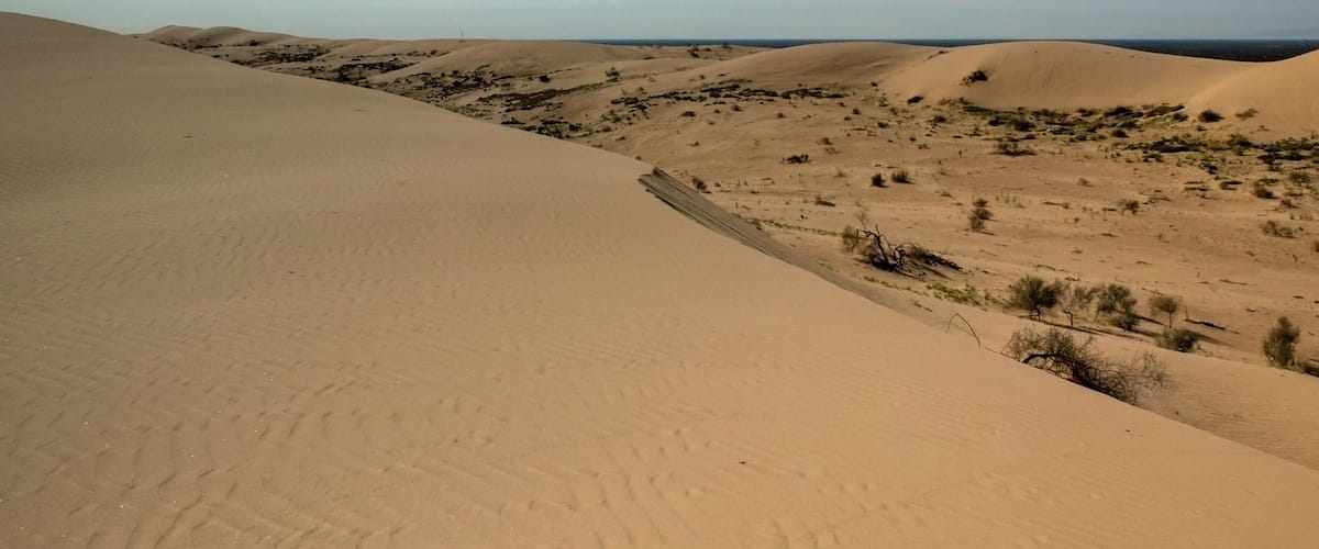 Overview of the desert Imperial Sand dunes displaying some vegetation and lots of sand against a blue, cloudless sky, Imperial Sand Dunes