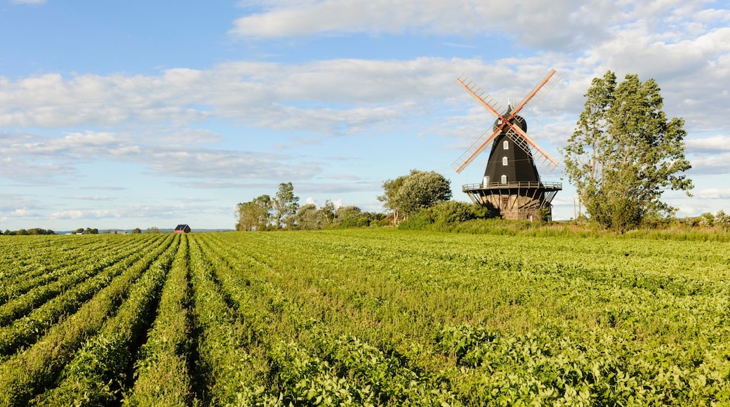 Halland County featuring farmland and a windmill