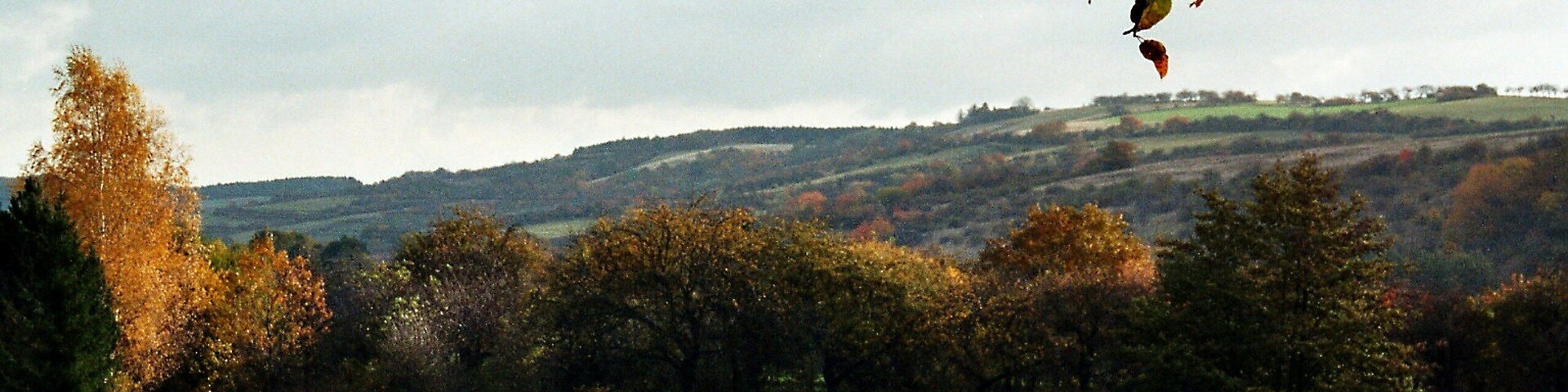 A rural landscape with green fields, autumn-colored trees, and rolling hills in the background.