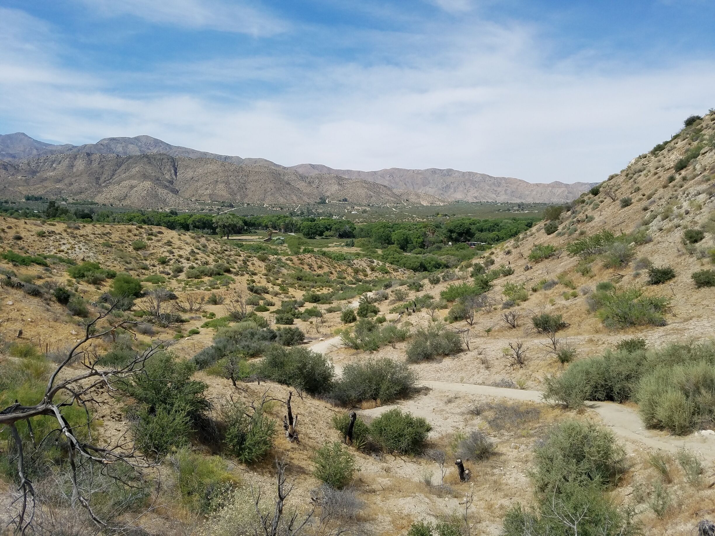 Beautiful place to hike. Unfortunately, the day we were there (Memorial Day, May 29), firefighters were rushing to put out a fire started by kids playing with a can bomb. Kids, don't play with fire, especuallt not in in the dry desert! #hiking #outdoors #desert #free #takeahike