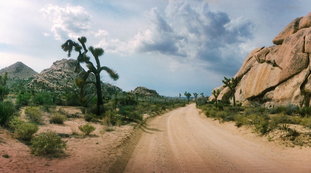 San Bernardino County