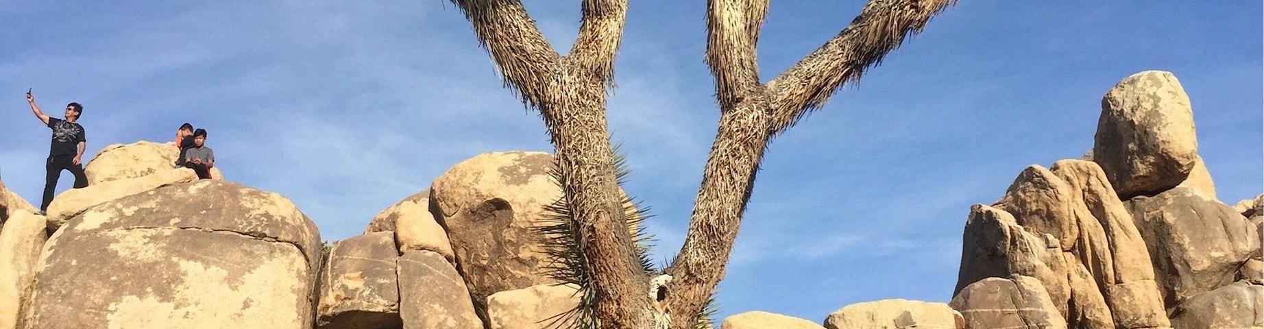 Visited Joshua Tree National Park during its busiest time of the year. #JoshuaTreeNationalPark #explore #hike #travel