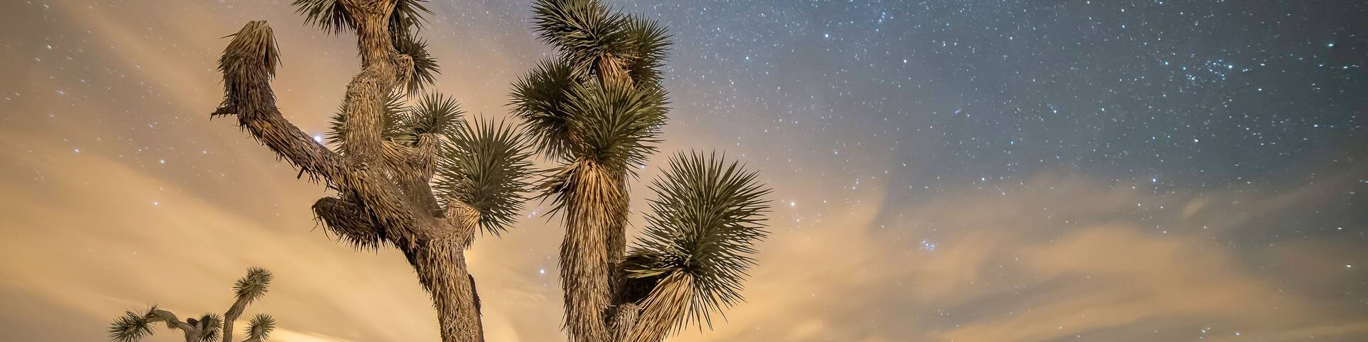 USA, California, San Bernadino County, Joshua Tree National Park. The stars in the night sky rise as the sun sets behind the mountains creating a striking blue orange contrast. .