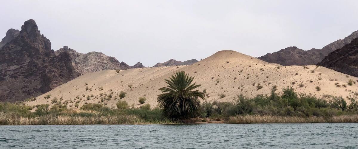 Sand,  left behind by the Colorado River in flood stage back before the river was dammed