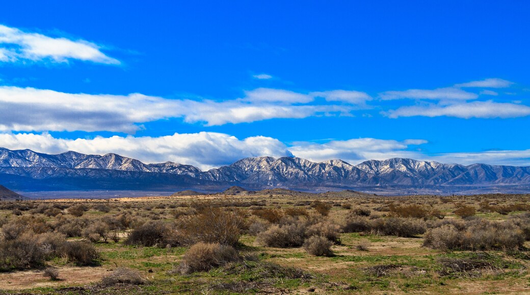 From the Mojave Desert near VIctorville, California, a winter view of the northside of the San Gabriel Mountains.