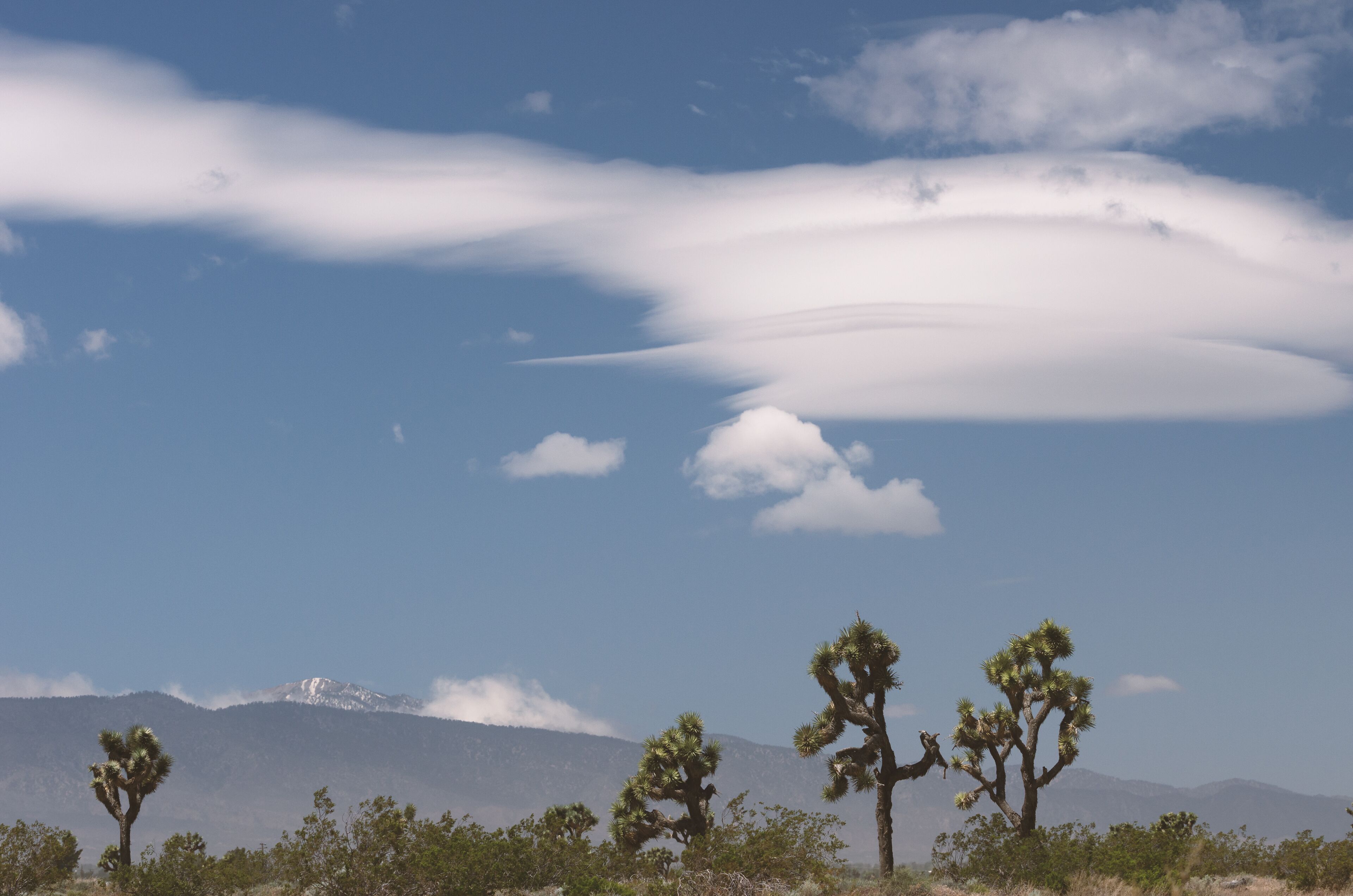 サン バーナーディーノ
