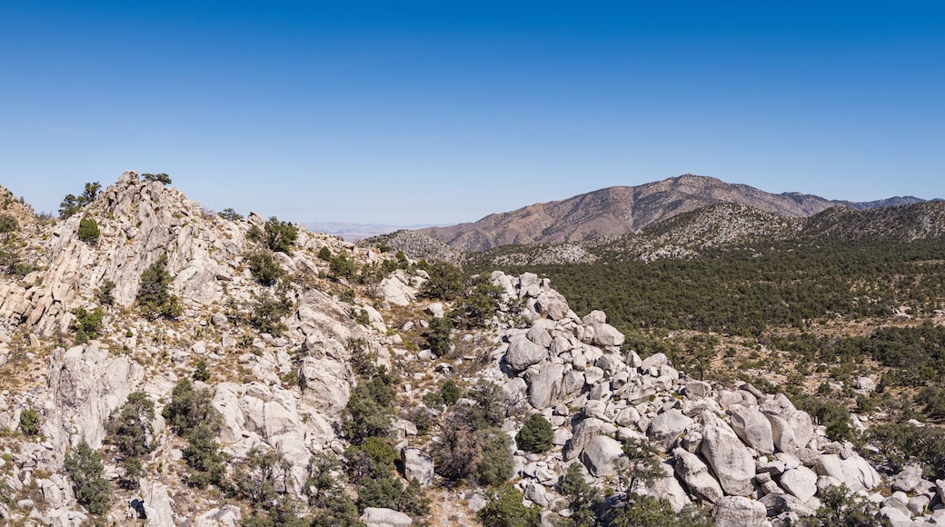 San Bernardino