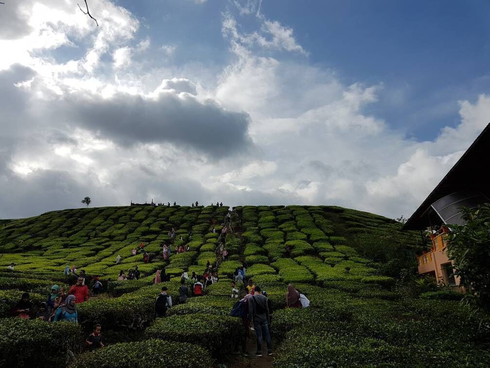 Everything turned worthwhile when a breathtaking view of spawling tea plantation covering thousands acres came in sight
#LifeAtExpedia