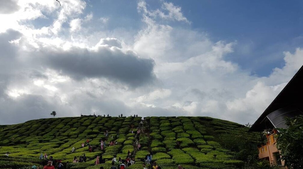 Everything turned worthwhile when a breathtaking view of spawling tea plantation covering thousands acres came in sight
#LifeAtExpedia