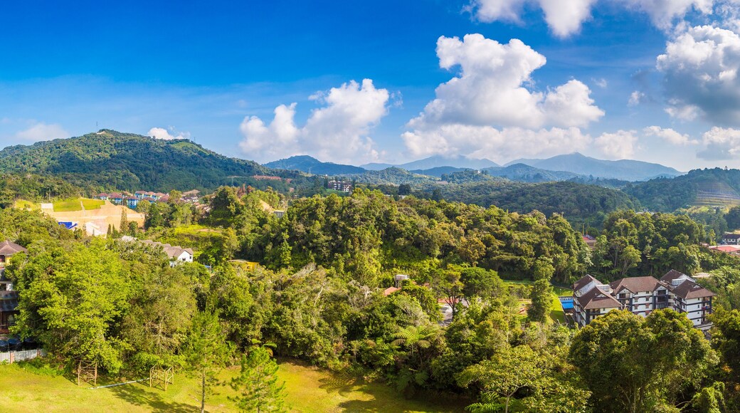 Cameron highlands resort