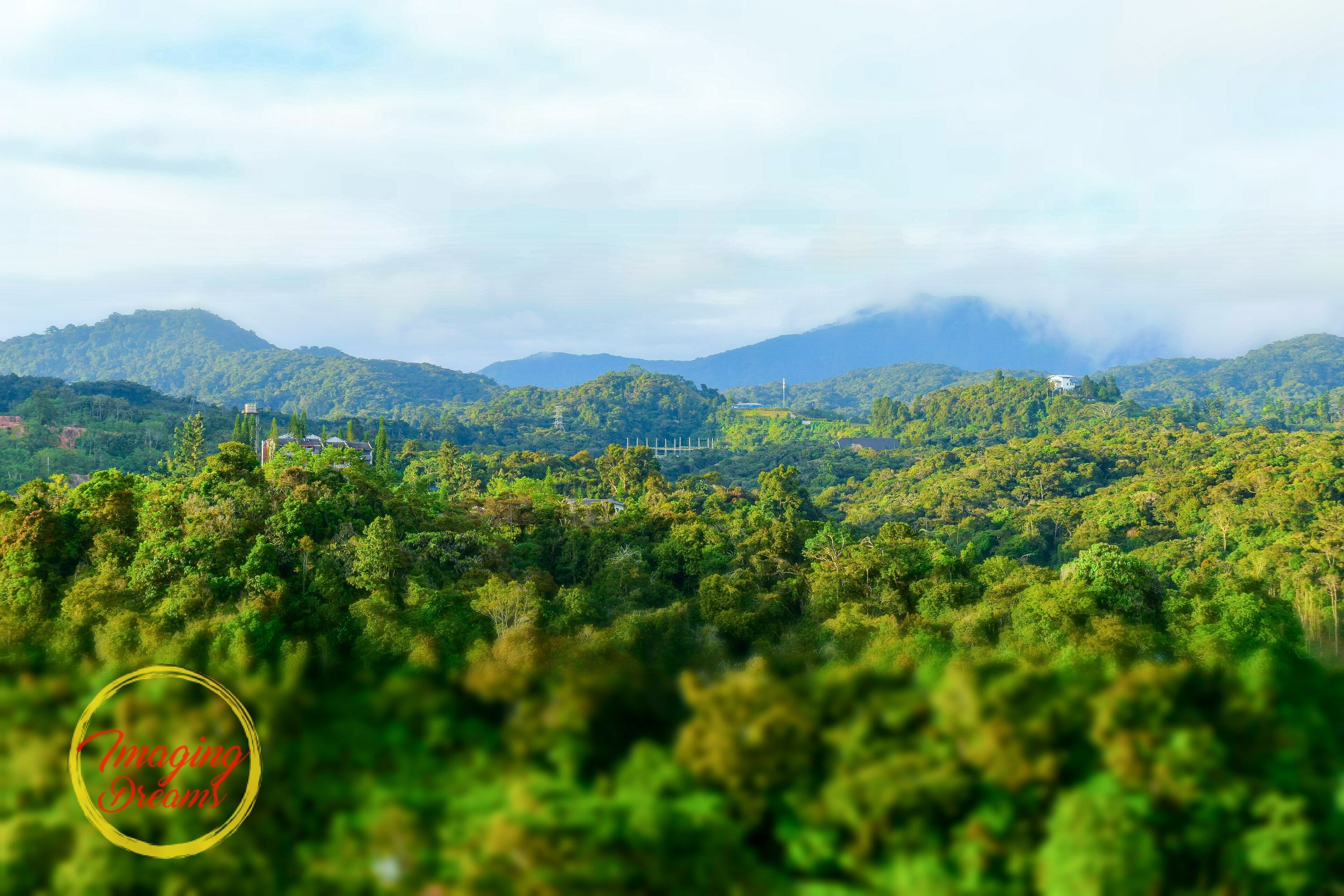 #SoloTraveler
#LifeAtExpedia
#CameronHighlands
