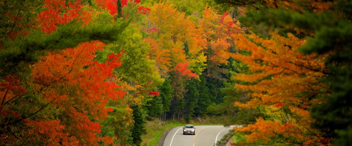 Lake George Hotel Guide