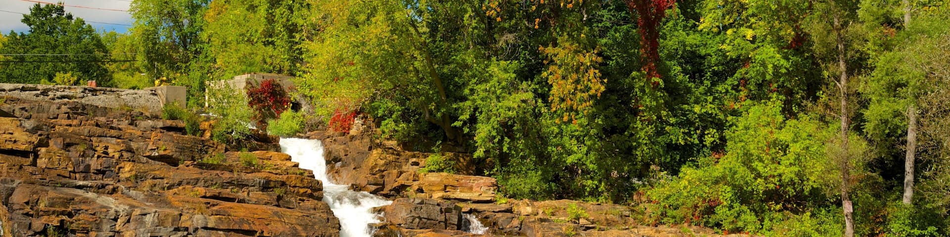 Ticonderoga showing a park