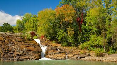 Ticonderoga showing a park