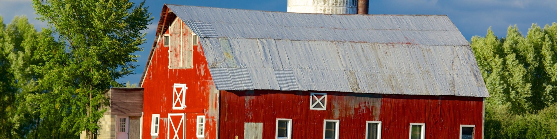 A red barn with a metal roof, surrounded by green fields and trees.