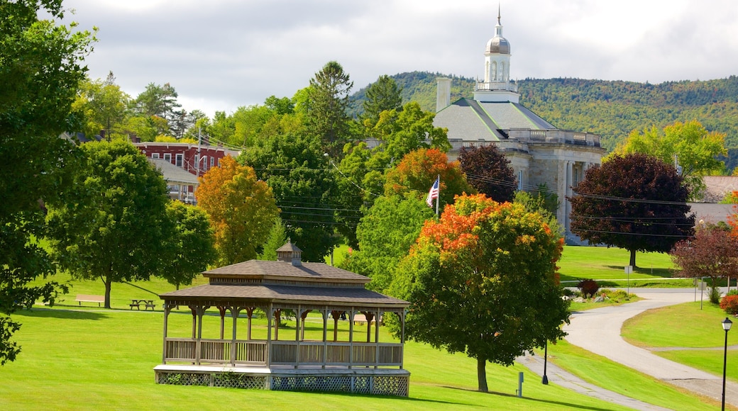 Ticonderoga showing a park